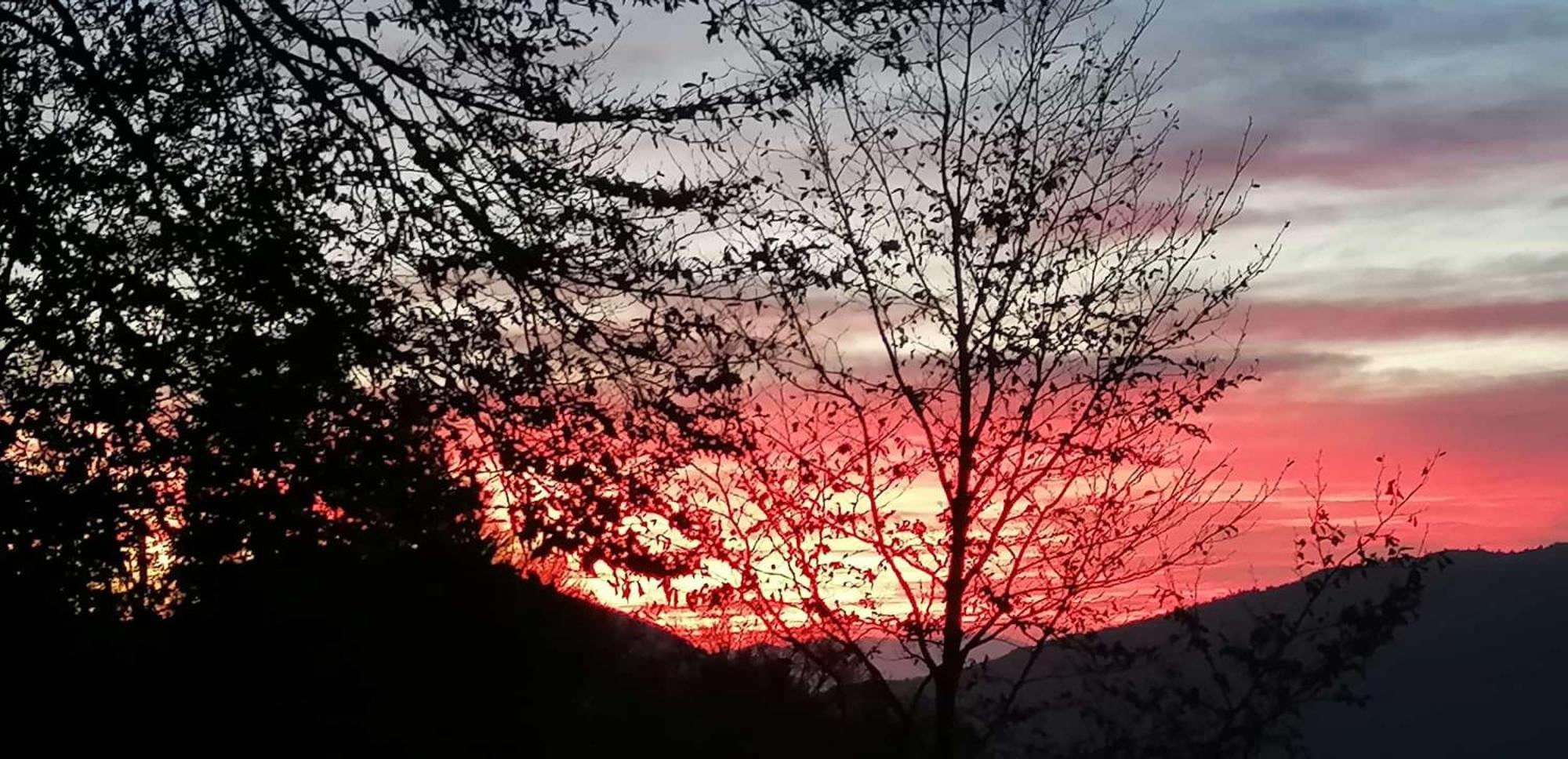 Bollone Casa Dei Pasqui' 빌라 외부 사진